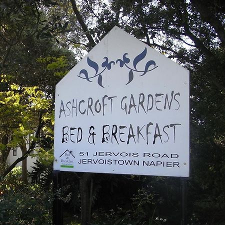 Ashcroft Gardens Bed & Breakfast เนเปียร์ ภายนอก รูปภาพ