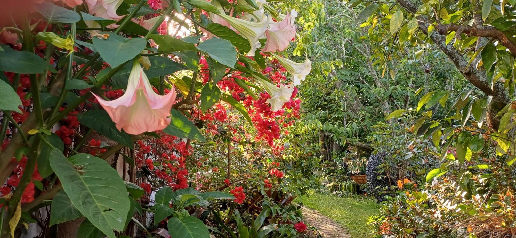 Ashcroft Gardens Bed & Breakfast เนเปียร์ ภายนอก รูปภาพ